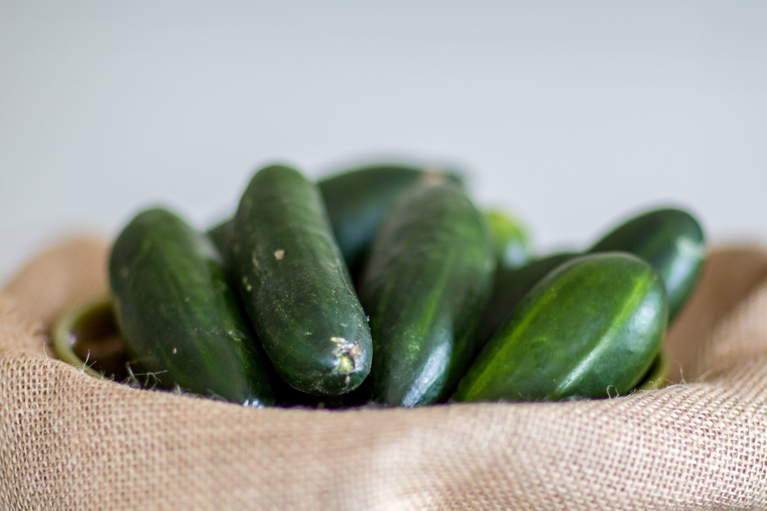 Tea and Sympathy Specialist Funeral Catering in Wiltshire and