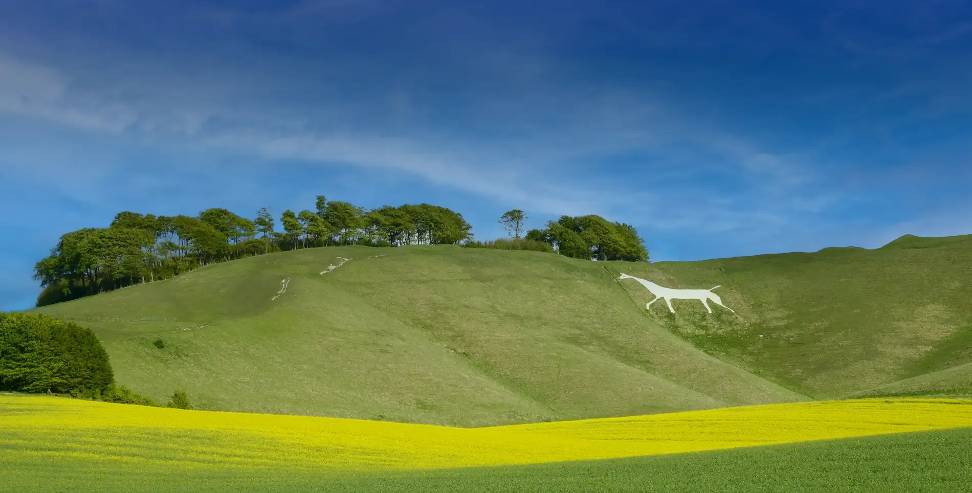 Chalk white horse at Cherhill